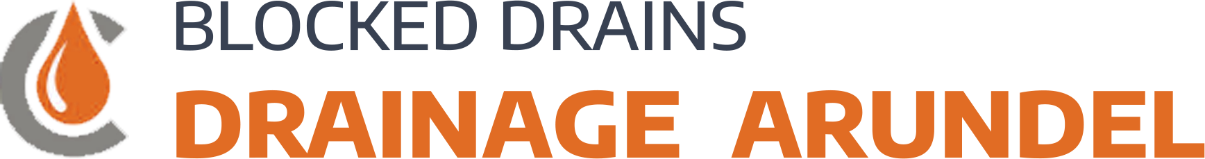 website logo
